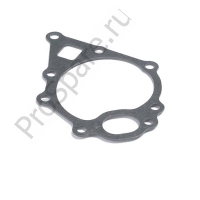 Прокладка водяного насоса (145996630)