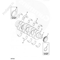 Шестерня коленвала EQB (3901258)